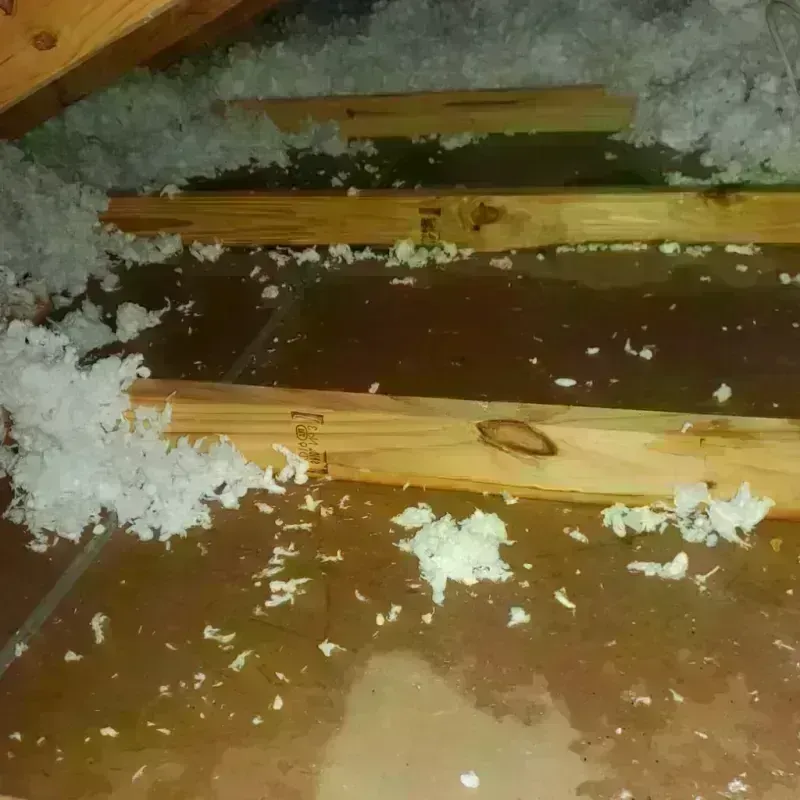 Attic Water Damage in Shenandoah, IA